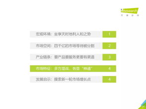2019年中國教育信息化行業(yè)研究報告